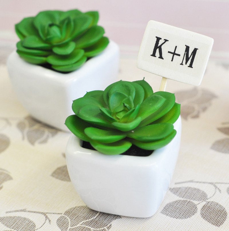 mini succulents wedding favors Potted Succulent Wedding Favors
