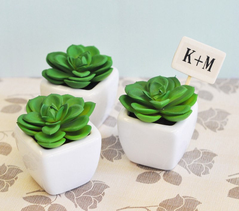 wedding favor succulent pots Potted Succulent Wedding Favors